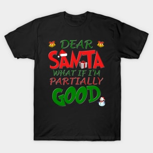 Christmas T Shirt, Ugly Christmas Shirt, Dear Santa What If Im Partially Good, Christmas T-shirt, Xmas Santa, Dear Santa Define Good Shirt T-Shirt